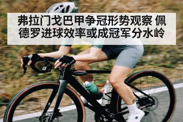 弗拉门戈巴甲争冠形势观察 佩德罗进球效率或成冠军分水岭（kaiyunsports）